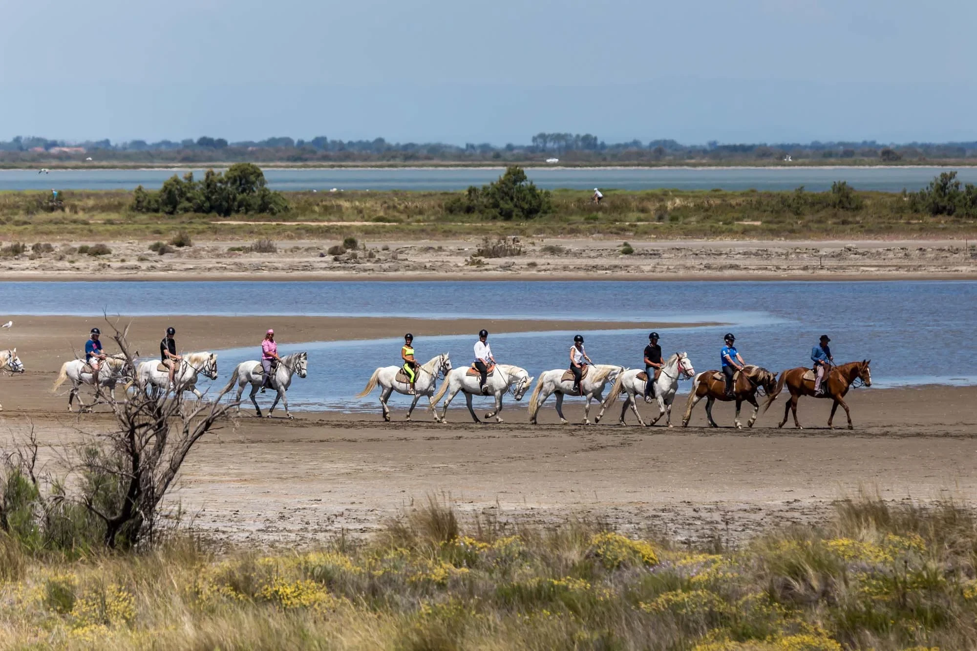 Cavalade en bord de mer - hotel alpilles - Mas de l'Oulivié