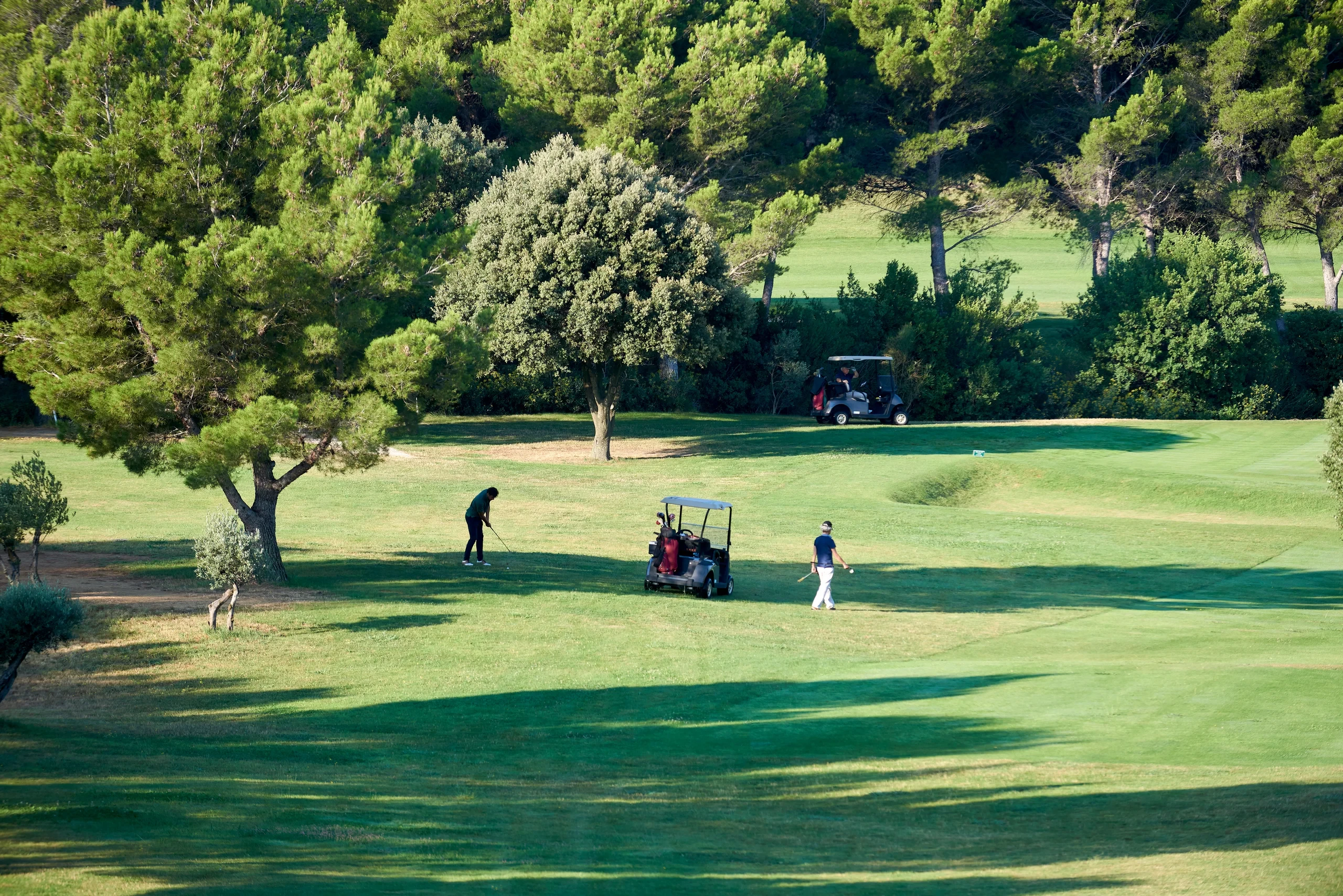 Joueurs de golf sur un parcours vert