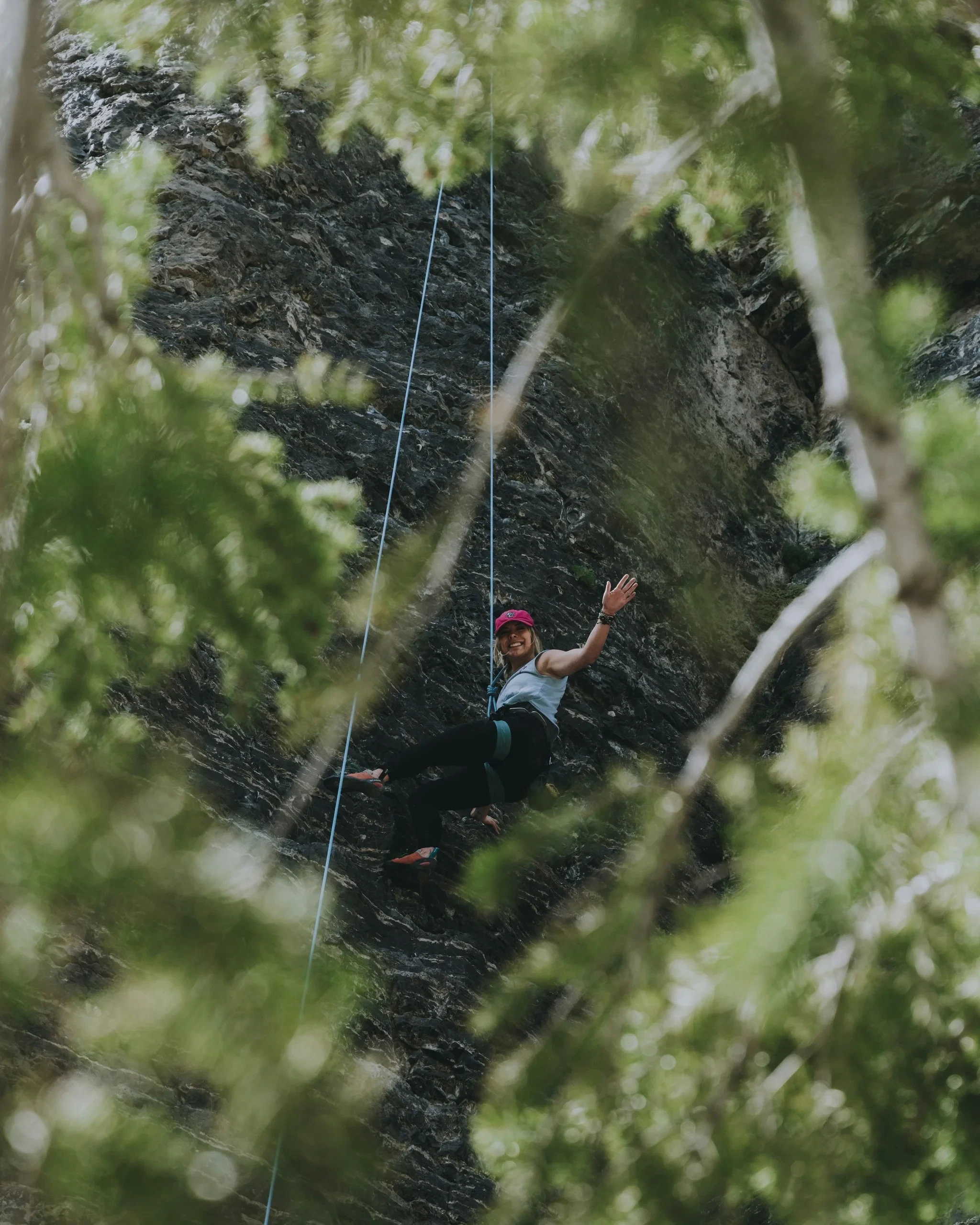 Escalade en speciale dans la forêt - hotel alpilles - Mas de l'Oulivié