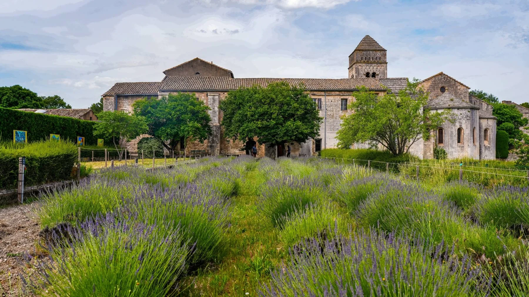 mas de loulivie batisse provencale champ lavande
