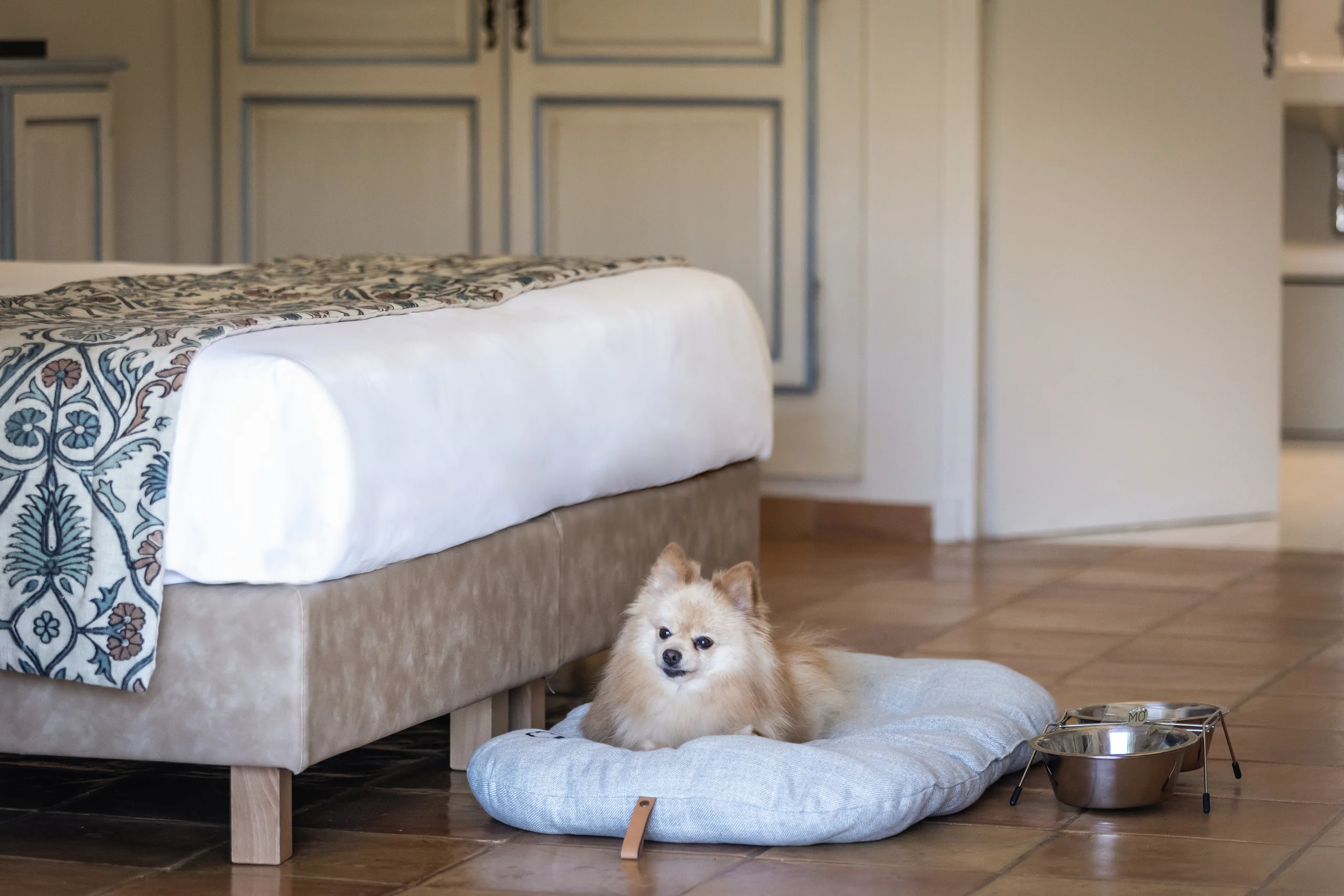 mas de loulivie chambres animal de compagnie 02