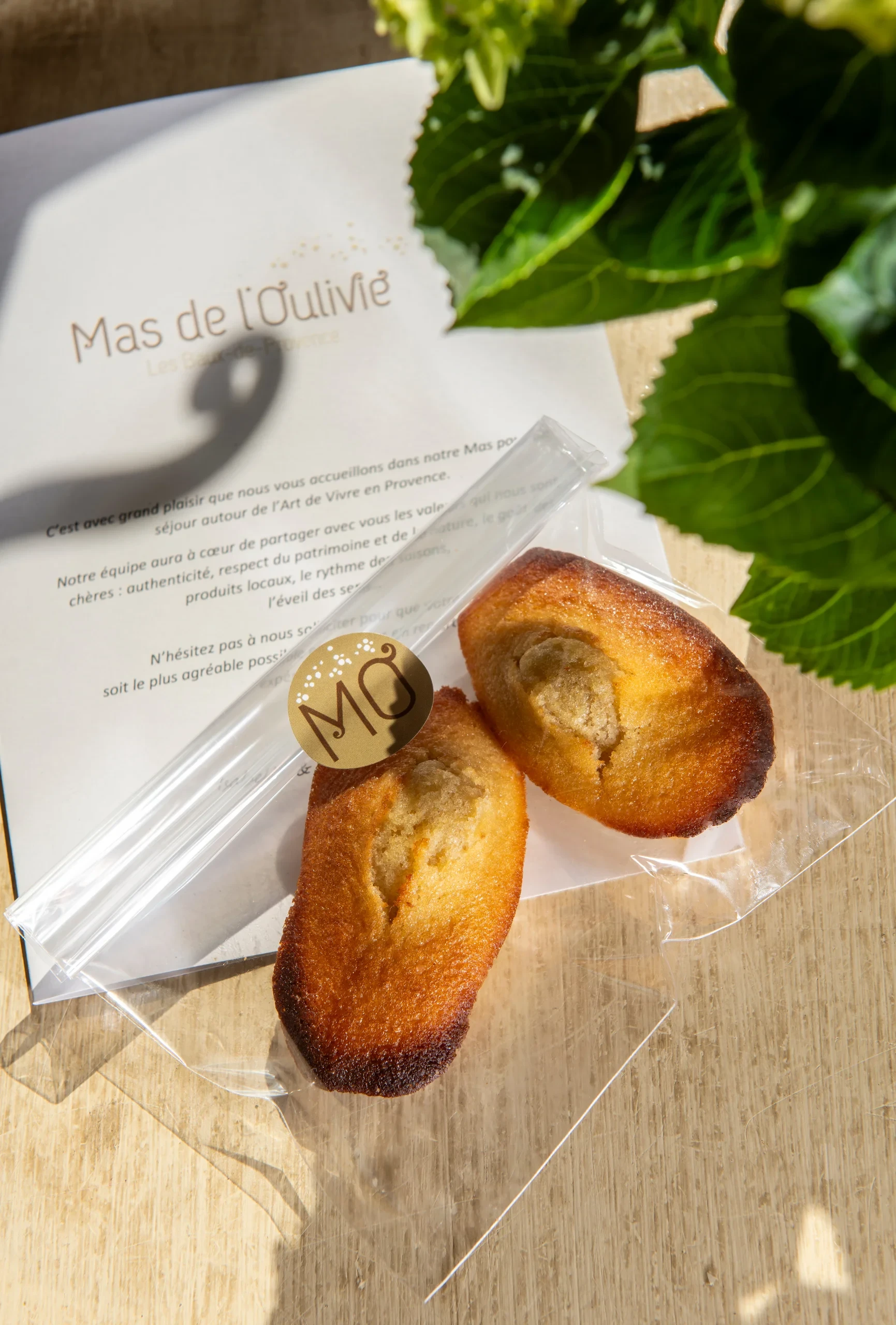 Madeleines et théâtre Mas de l'Oulivie