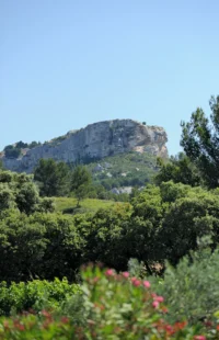 Paysage de colline rocheuse et verdoyante