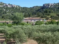 Maison provençale dans la campagne verdoyante - hotel restaurant les baux de provence - Mas de l'Oulivié
