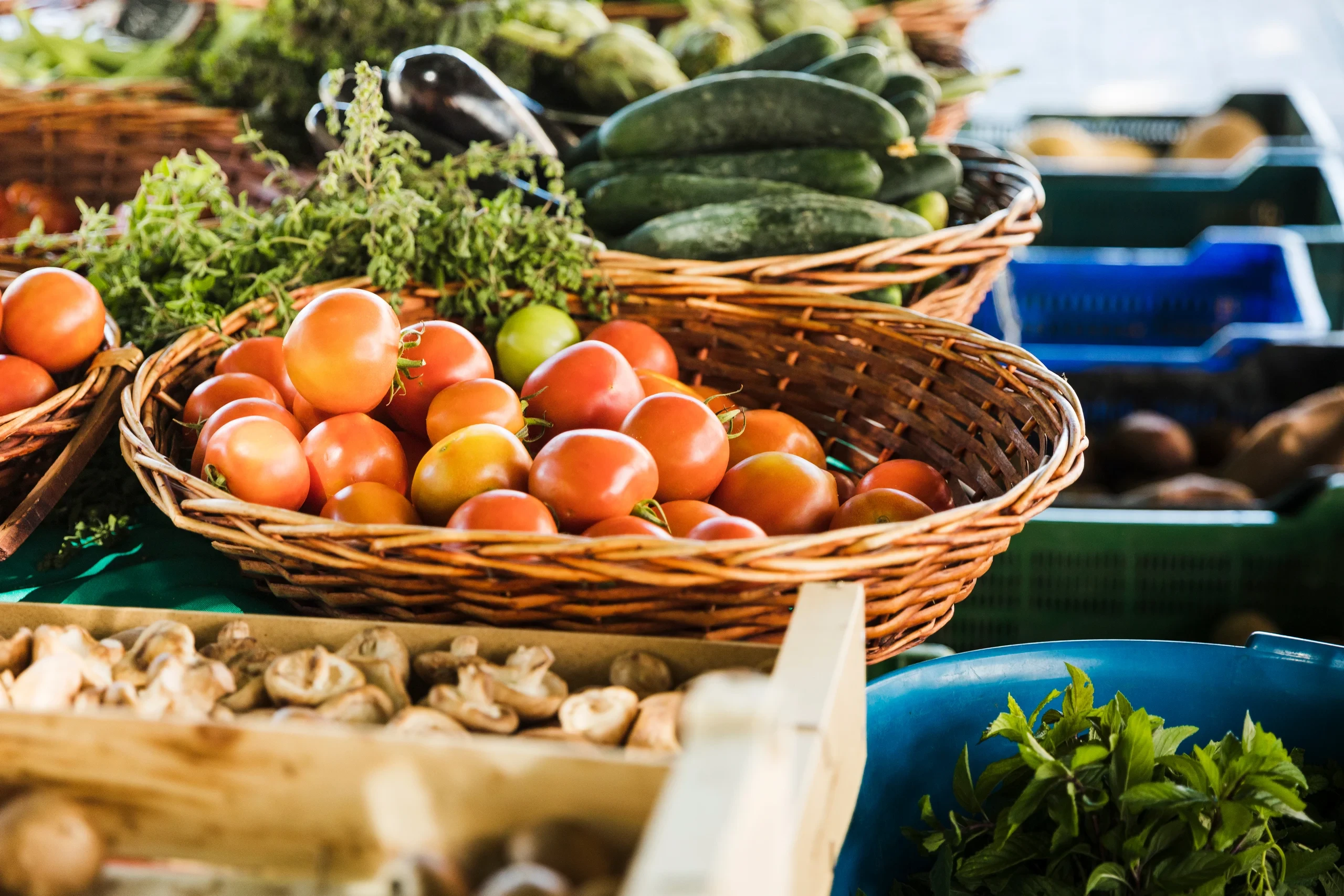 Marché aux légumes frais colorés - hôtel restaurant provence - Mas de l'Oulivié