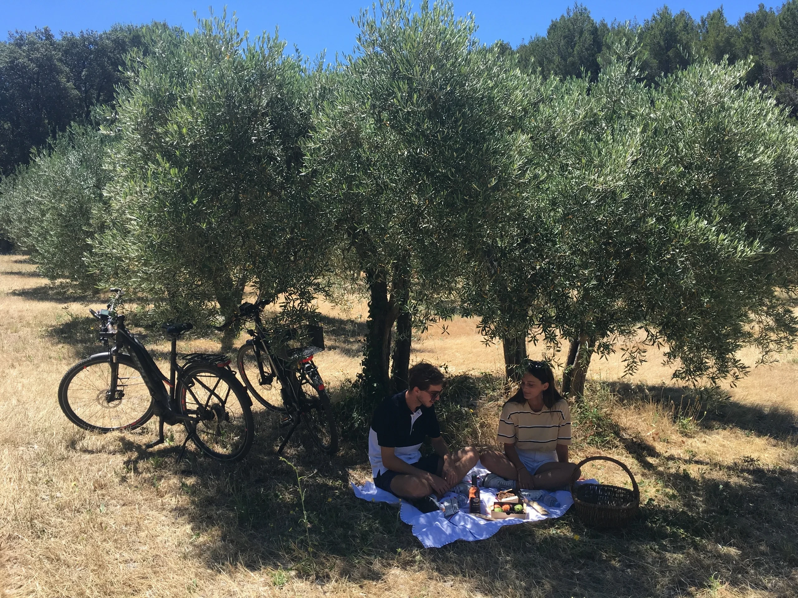 Pique-nique sous les oliviers avec vélos - hotel alpilles - Mas de l'Oulivié