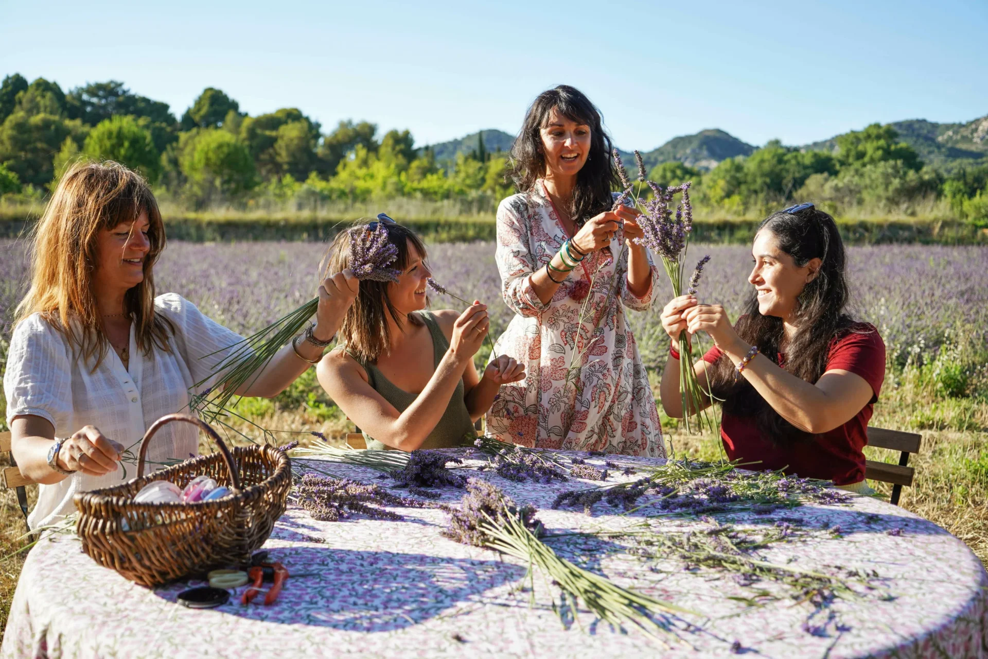 Femmes cueillant des lavandes en extérieur - hotel de charme alpilles - Mas de l'Oulivié