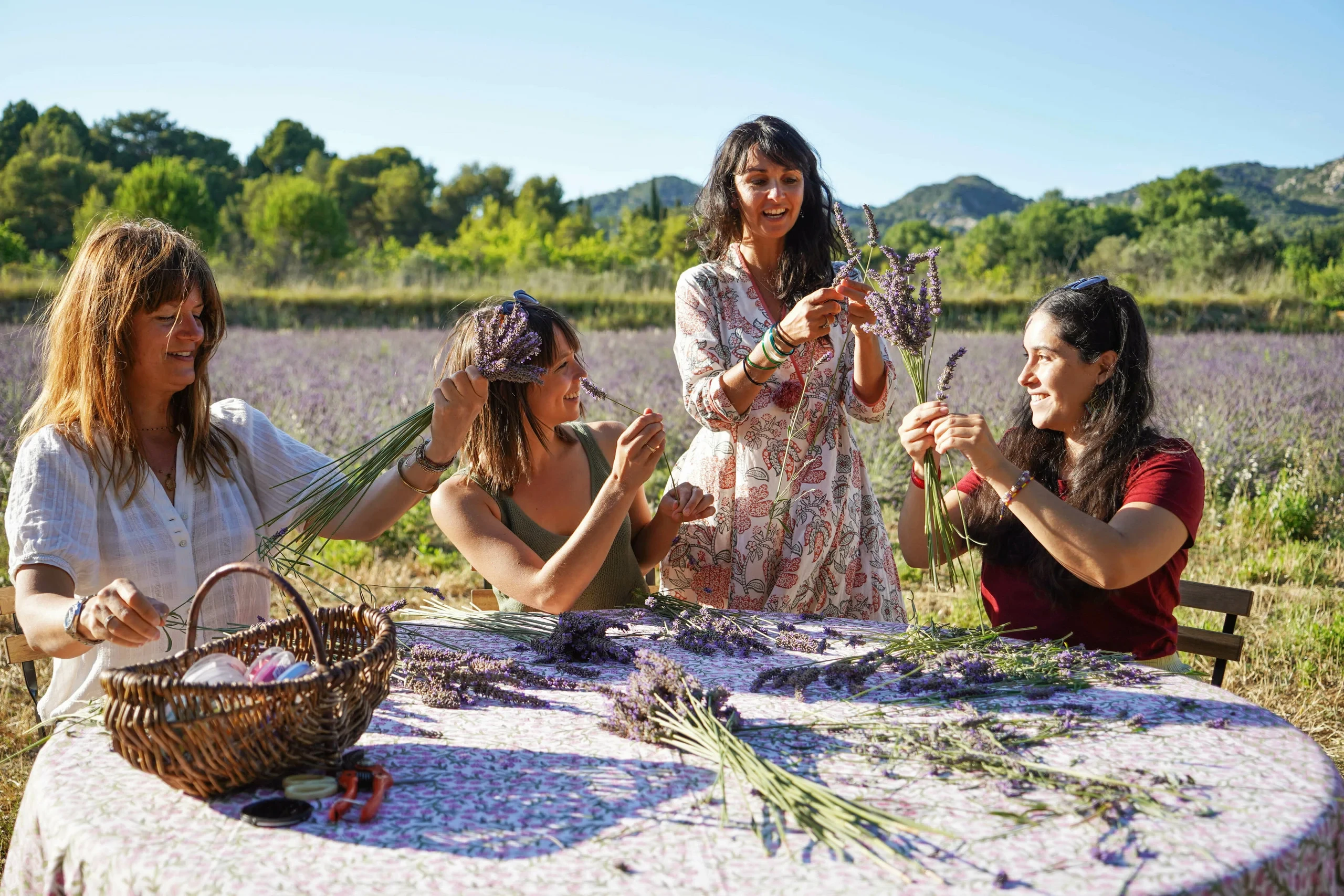 Femmes cueillant des lavandes en extérieur - hotel de charme alpilles - Mas de l'Oulivié
