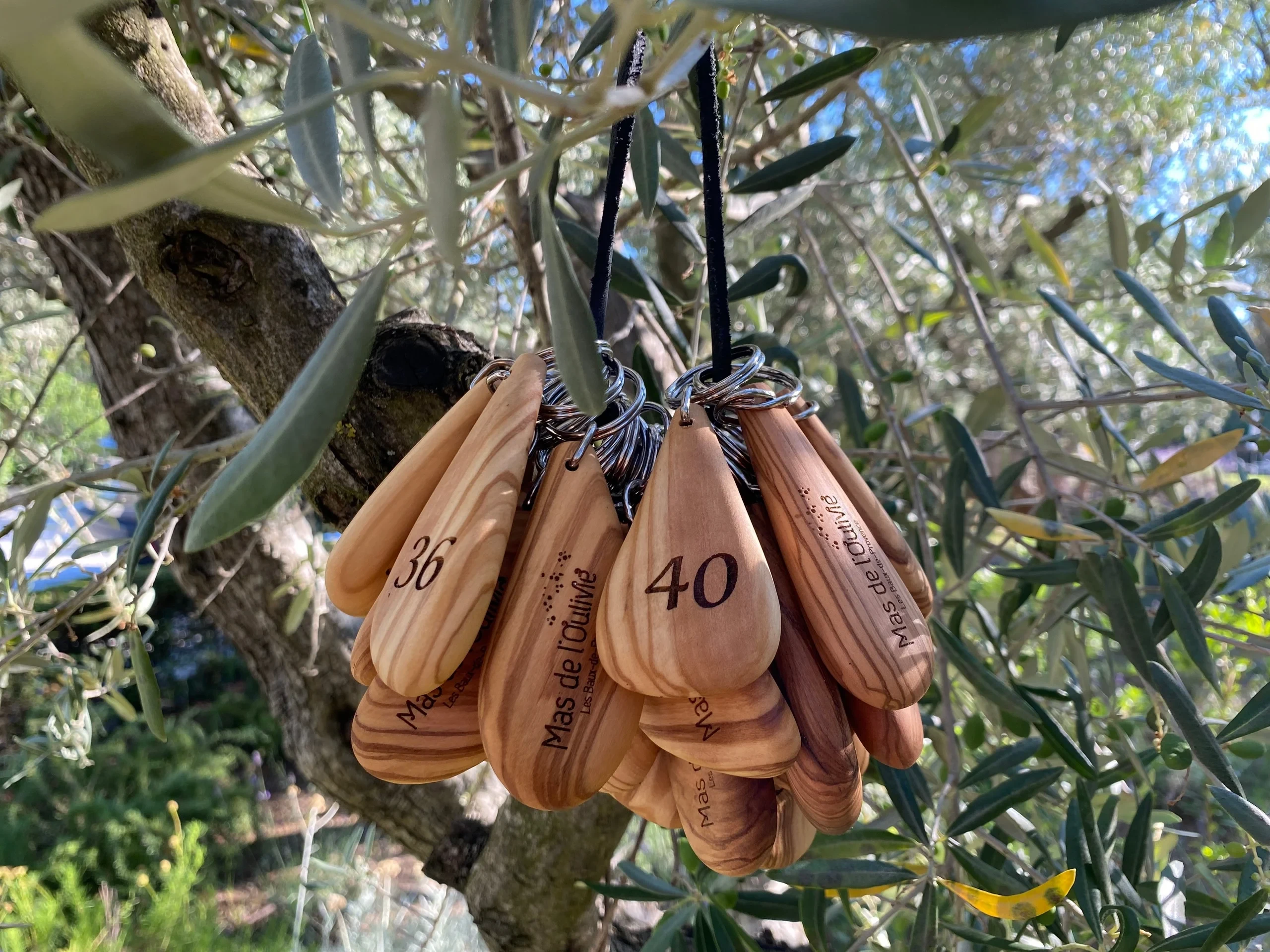 Clés en bois suspendues dans un olivier