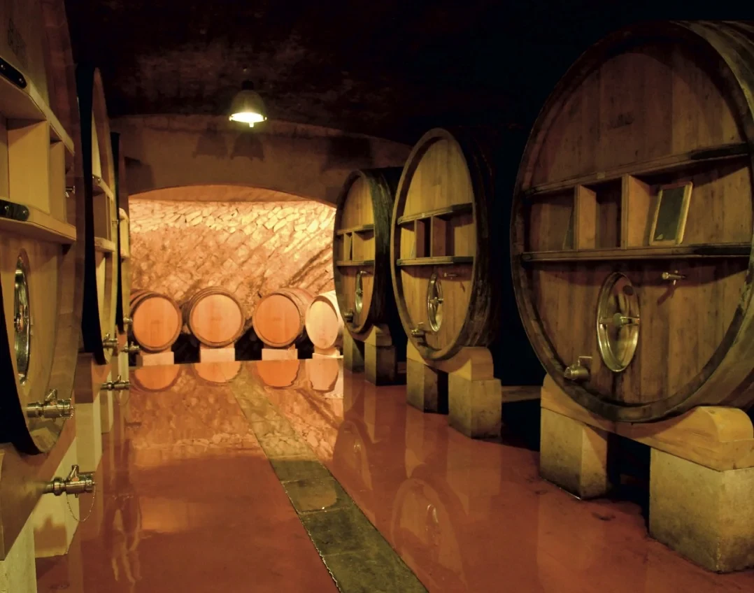 Cave à vin avec tonneaux en bois