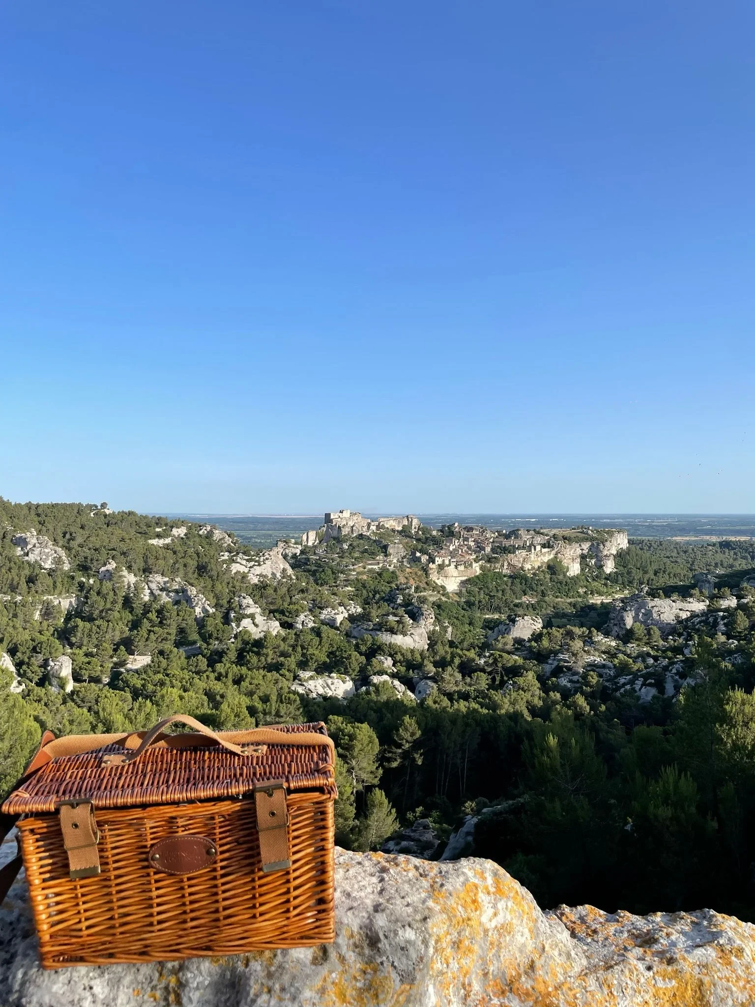 Panier en osier avec vue montagneuse et château
